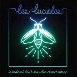 Podcast Les Lucioles