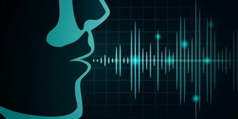 Financement pour le doctorat en linguistique