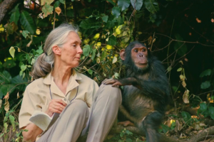 Jane Goodall