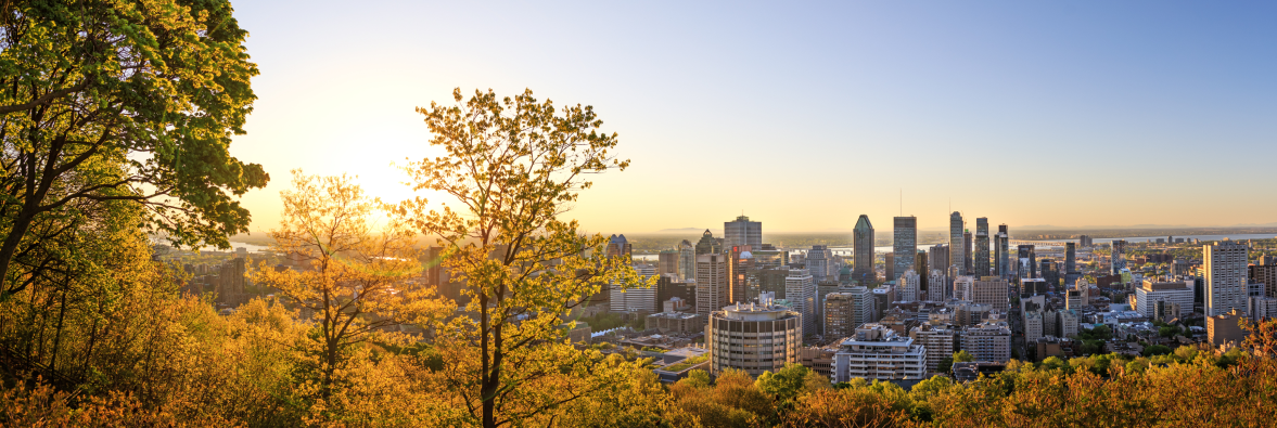 Venir étudier à Montréal